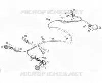 FAROLIM PISCA