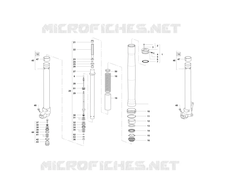 HOMOLOG KIT