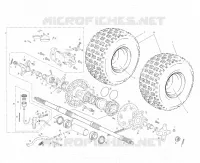 HOMOLOG KIT